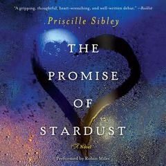 The Promise of Stardust: A Novel Audiobook, by Priscille Sibley