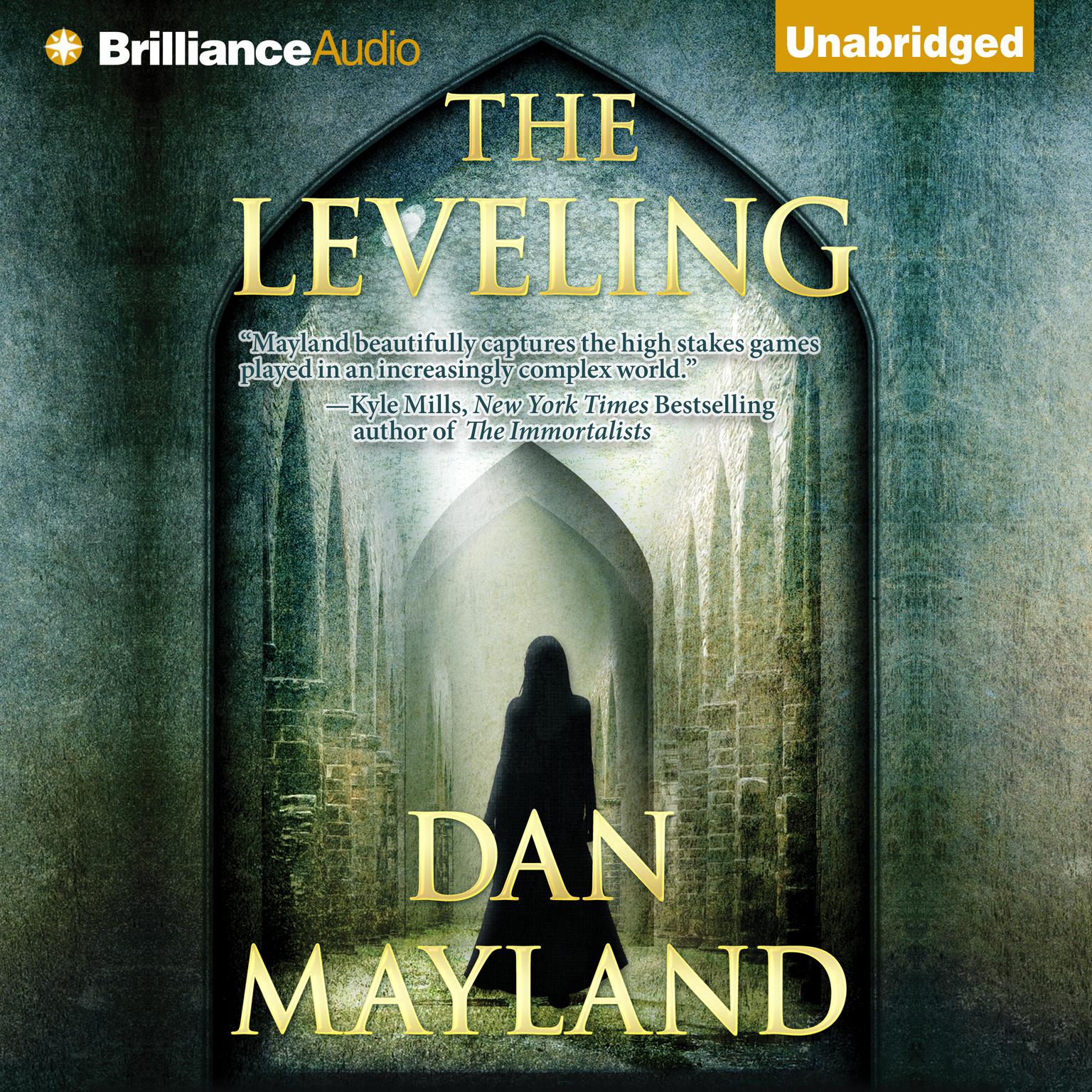 The Leveling Audiobook, by Dan Mayland