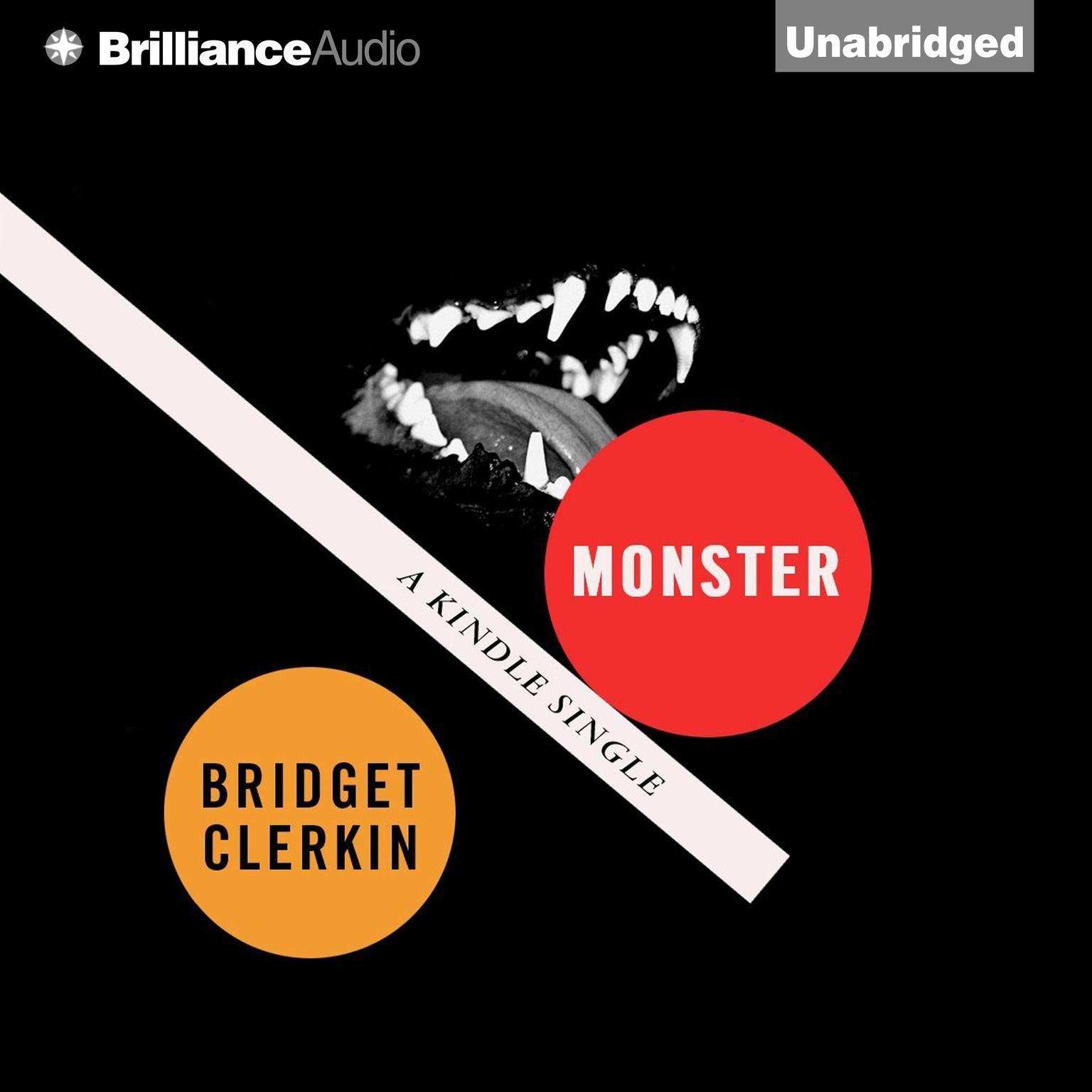 Monster Audiobook, by Bridget Clerkin