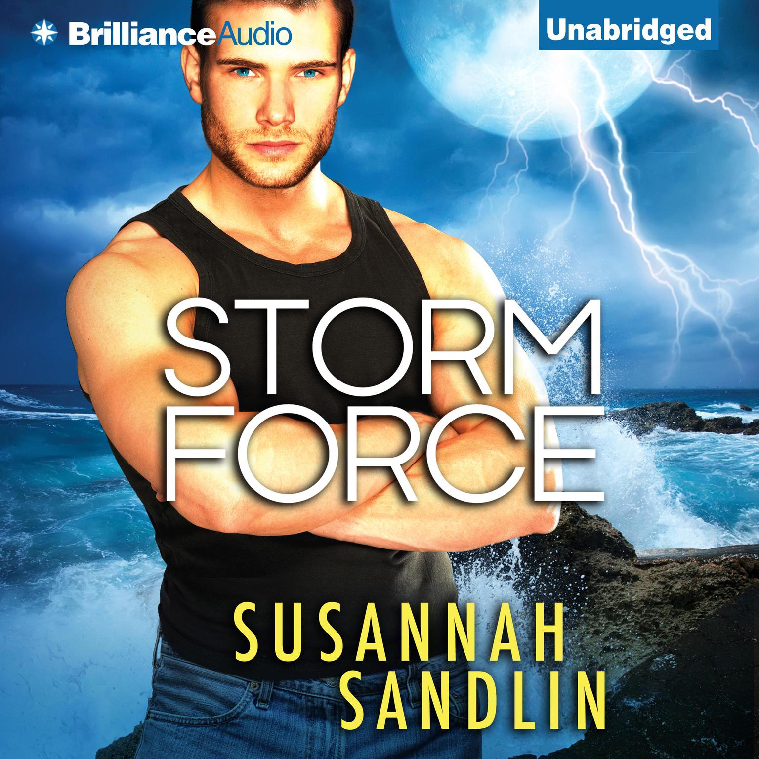 Storm Force Audiobook, by Susannah Sandlin