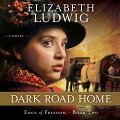 Dark Road Home Audiobook, by Elizabeth Ludwig