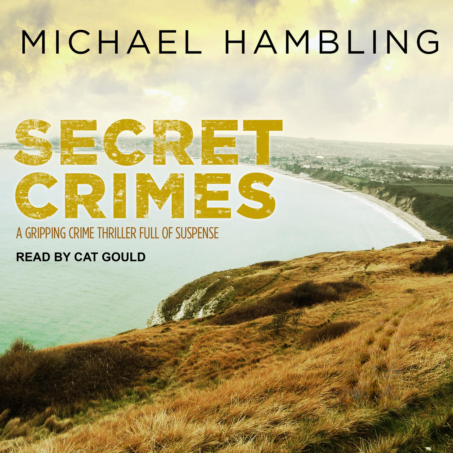 Secret Crimes Audiobook, by Michael Hambling