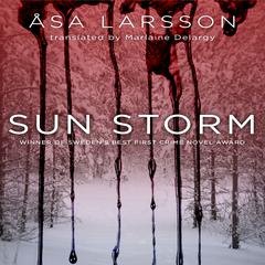 Sun Storm Audiobook, by Åsa Larsson