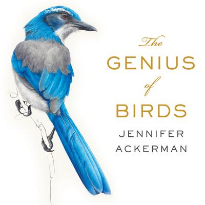 The Genius of Birds Audiobook, by Jennifer Ackerman