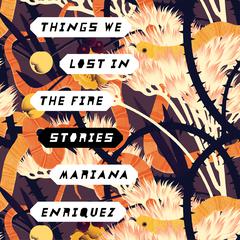 Things We Lost in the Fire: Stories Audiobook, by 