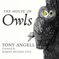 The House of Owls Audiobook, by Tony Angell
