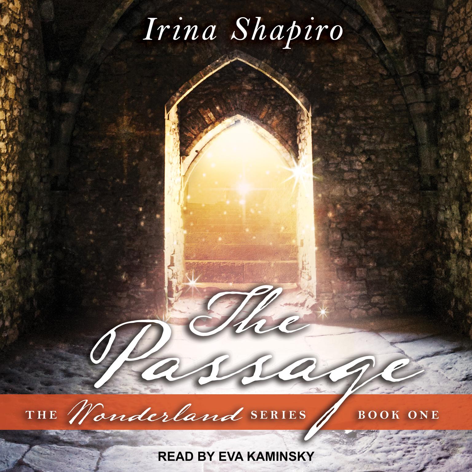 The Passage Audiobook, by Irina Shapiro