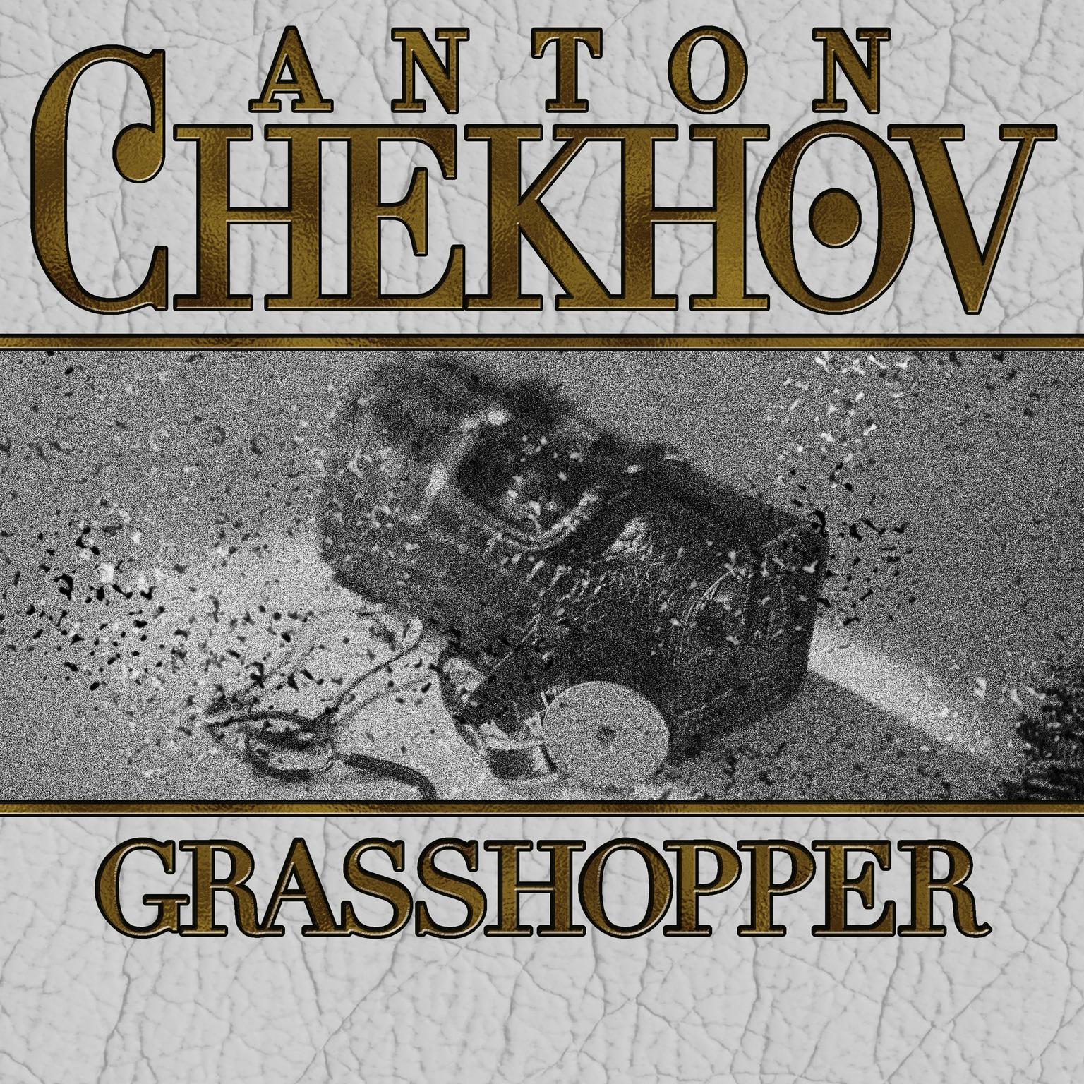 Grasshopper Audiobook, by Anton Chekhov