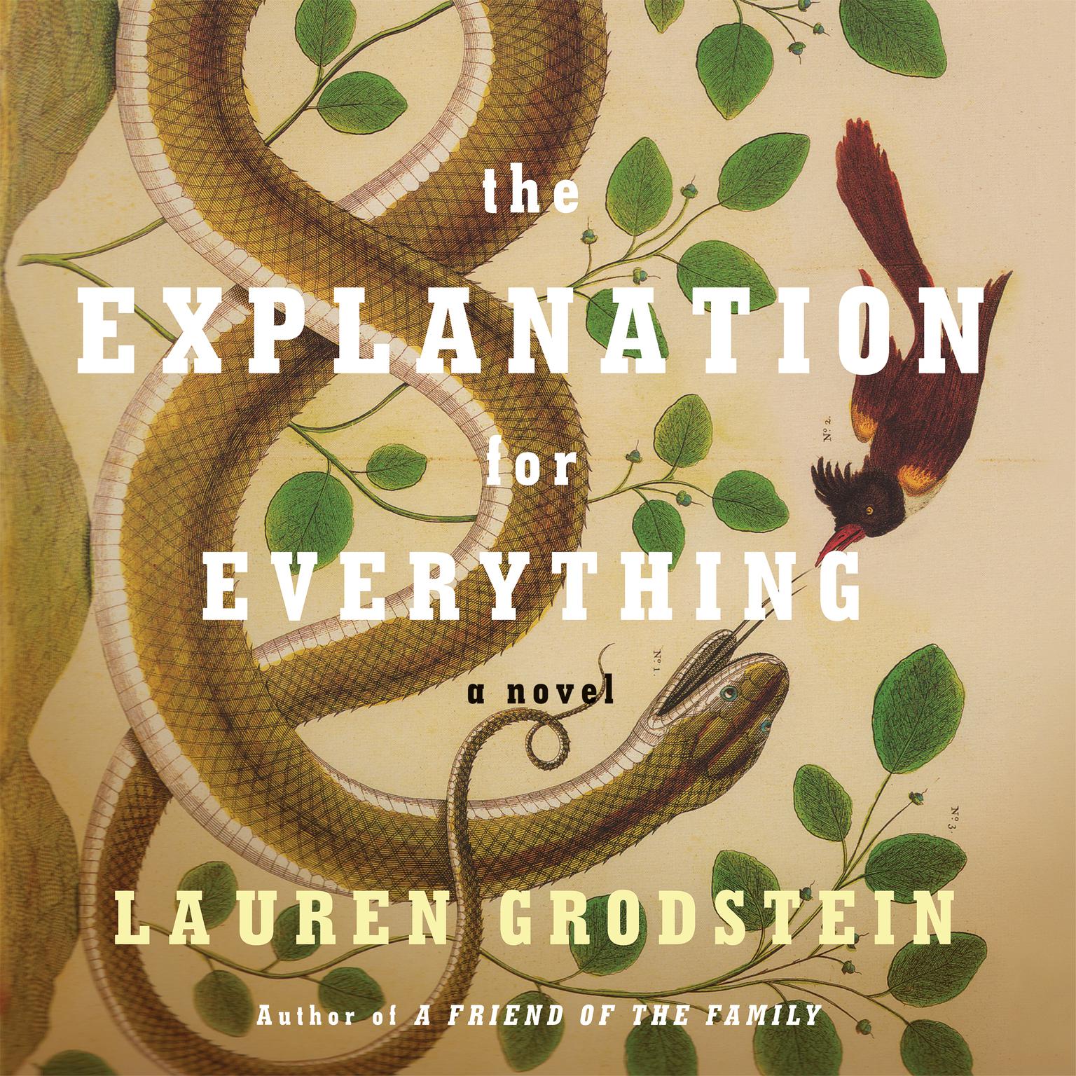 The Explanation for Everything Audiobook, by Lauren Grodstein