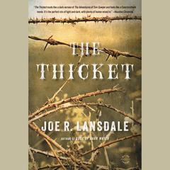 The Thicket Audiobook, by Joe R. Lansdale