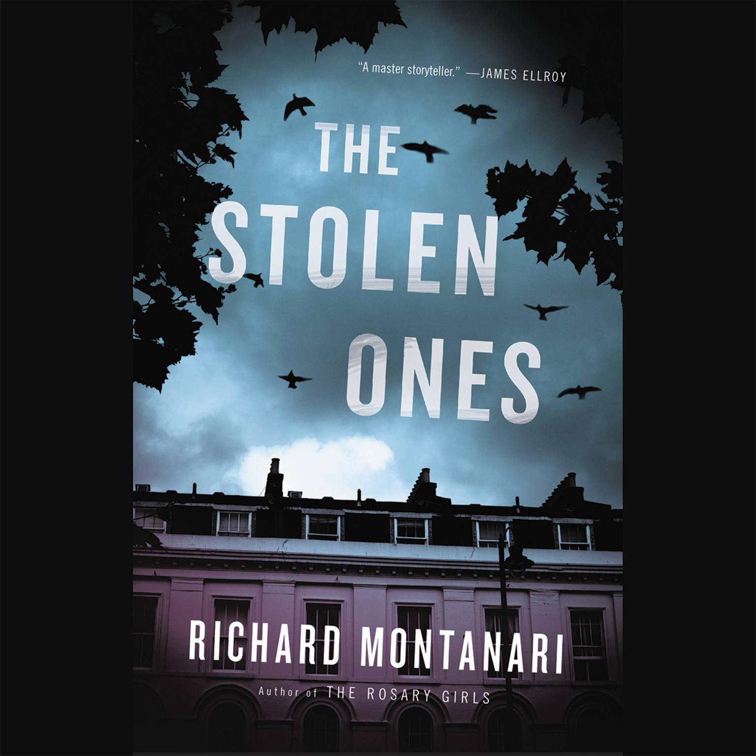The Stolen Ones Audiobook, by Richard Montanari