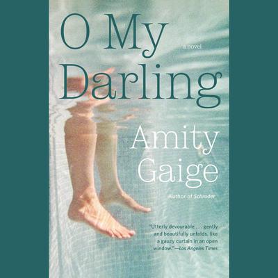O My Darling: A Novel Audiobook, by Amity Gaige