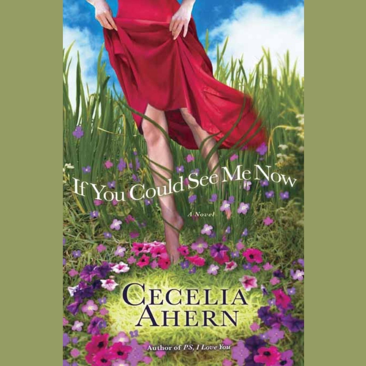 If You Could See Me Now (Abridged) Audiobook, by Cecelia Ahern