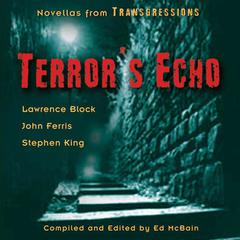 Transgressions: Terror's Echo: Three Novellas from Transgressions Audiobook, by Stephen King