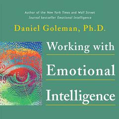 Working with Emotional Intelligence Audiobook, by Daniel Goleman