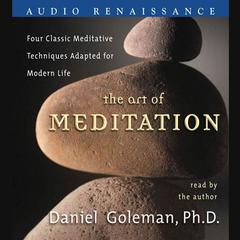 The Art of Meditation: Four Classic Meditative Techniques Adapted for Modern Life Audiobook, by 