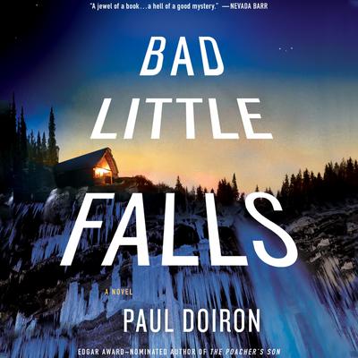 Bad Little Falls: A Novel Audiobook, by 