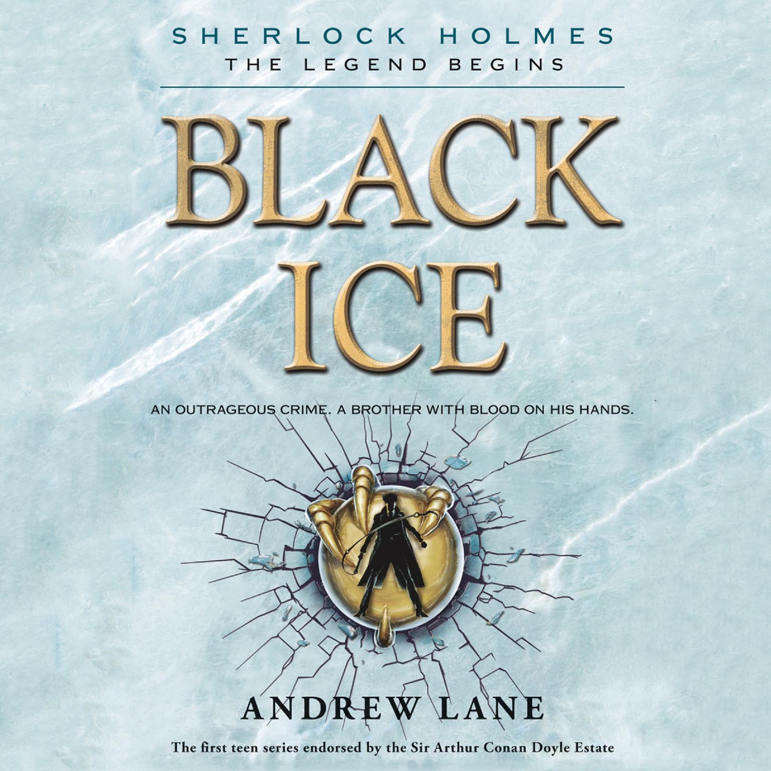 Black Ice Audiobook, by Andrew Lane