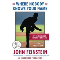 Where Nobody Knows Your Name: Life In the Minor Leagues of Baseball Audiobook, by 
