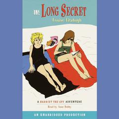 The Long Secret Audiobook, by Louise Fitzhugh