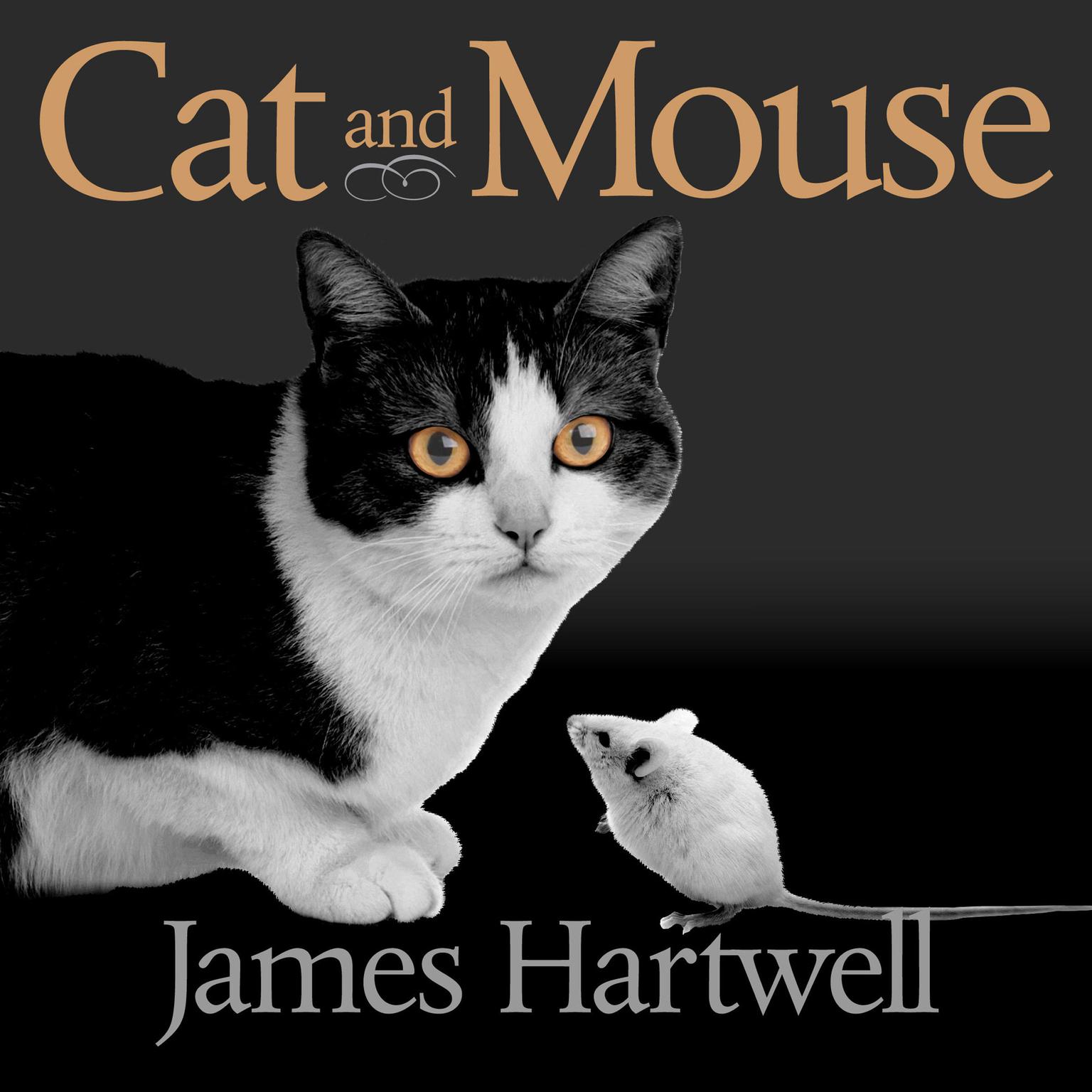 Cat and Mouse: Book of Persian Fairy Tales Audiobook, by Hartwell James