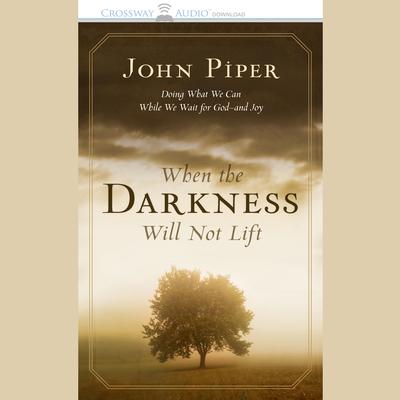 When the Darkness Will Not Lift: Doing What We Can While We Wait for God—and Joy Audiobook, by John Piper