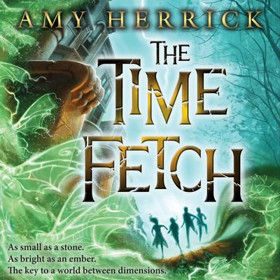The Time Fetch Audiobook, by Amy Herrick