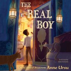The Real Boy Audiobook, by Anne Ursu