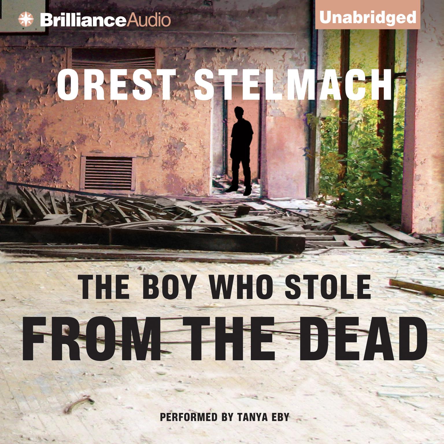 The Boy Who Stole from the Dead Audiobook, by Orest Stelmach