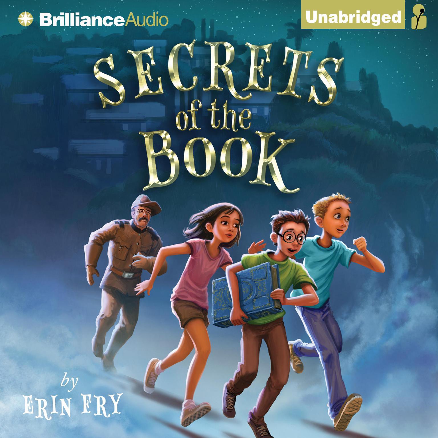 Secrets of the Book Audiobook, by Erin Fry