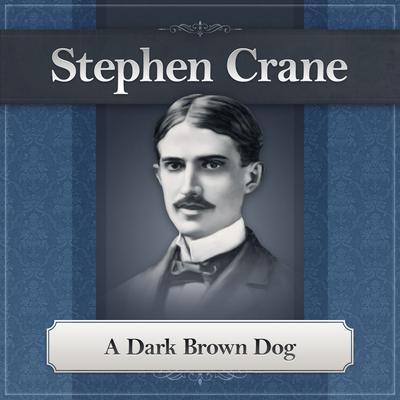 A Dark Brown Dog Audiobook, by Stephen Crane