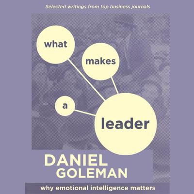 Emotional Intelligence: What Makes a Leader? Audiobook, by Daniel Goleman