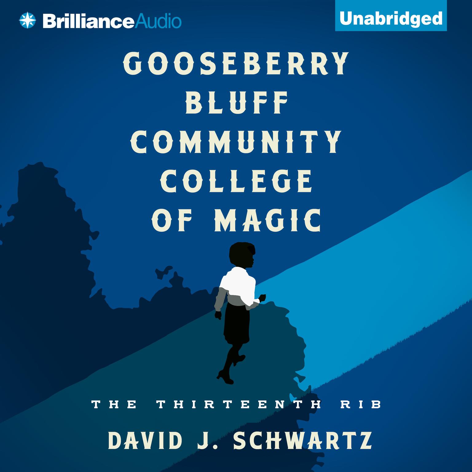 Gooseberry Bluff Community College of Magic: The Thirteenth Rib Audiobook, by David J. Schwartz