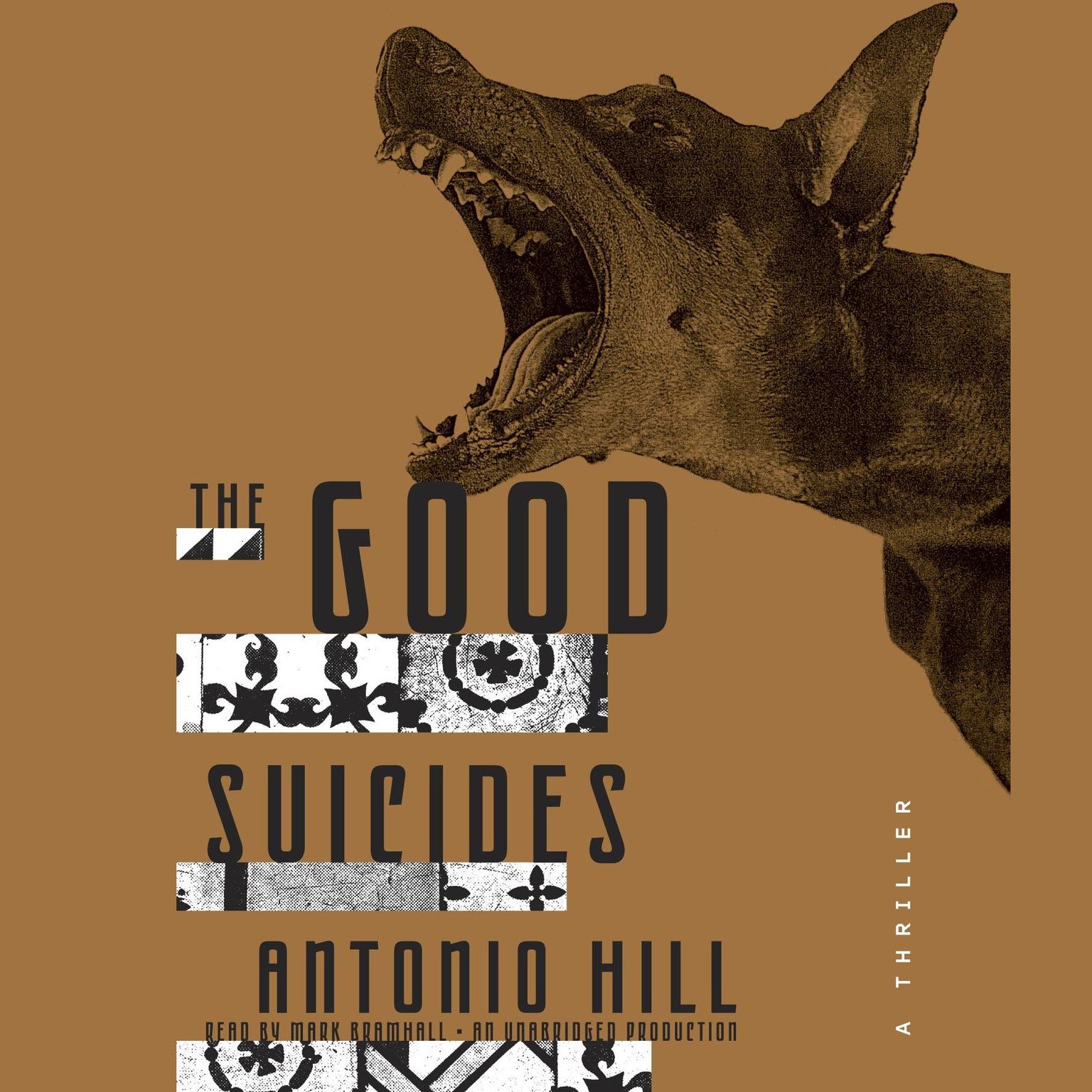 The Good Suicides: A Thriller Audiobook, by Antonio Hill