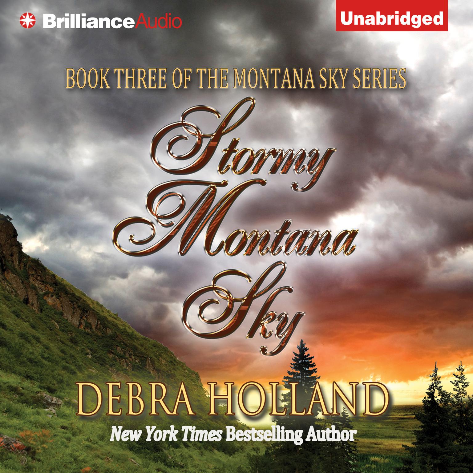 Stormy Montana Sky Audiobook, by Debra Holland