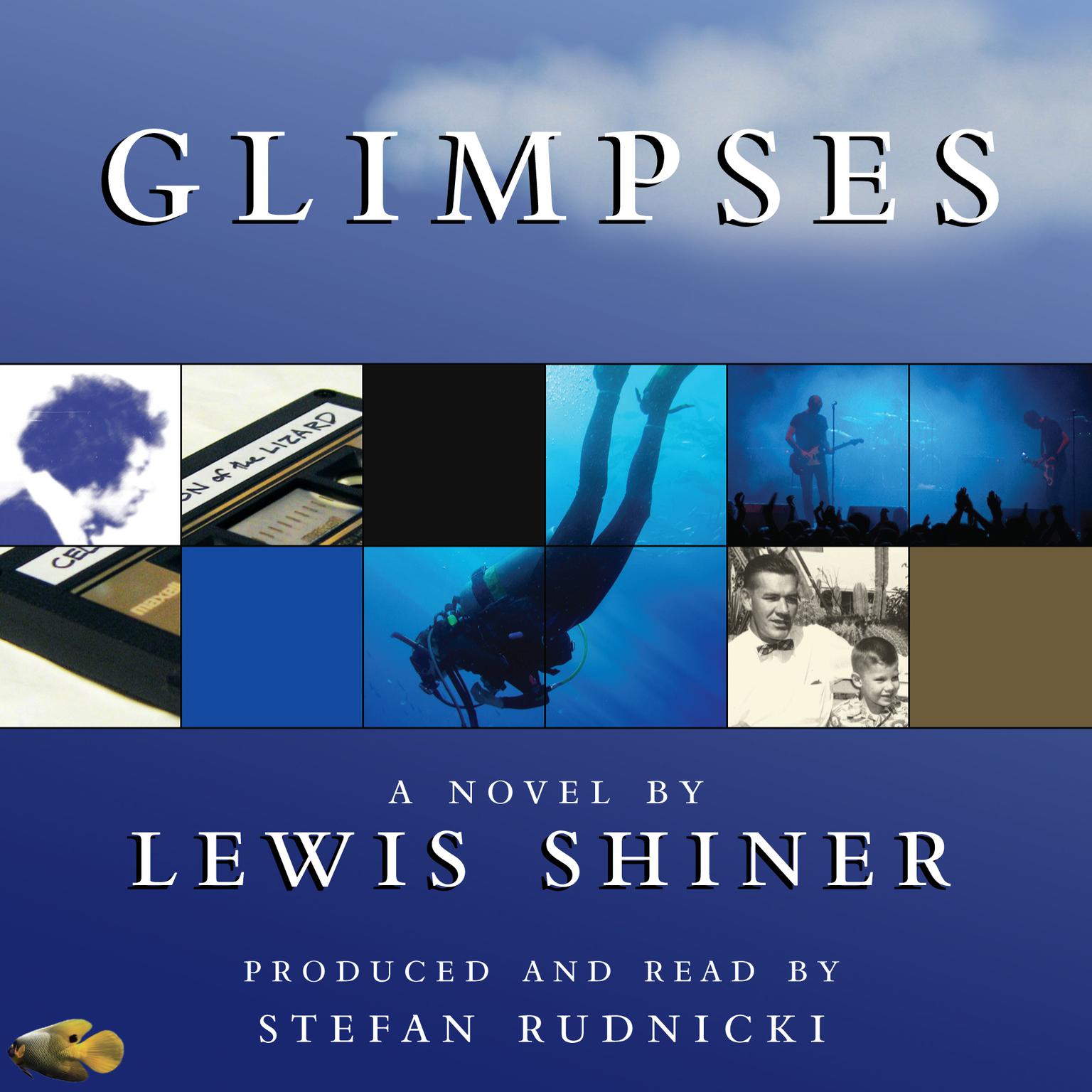 Glimpses: A Novel Audiobook, by Lewis Shiner