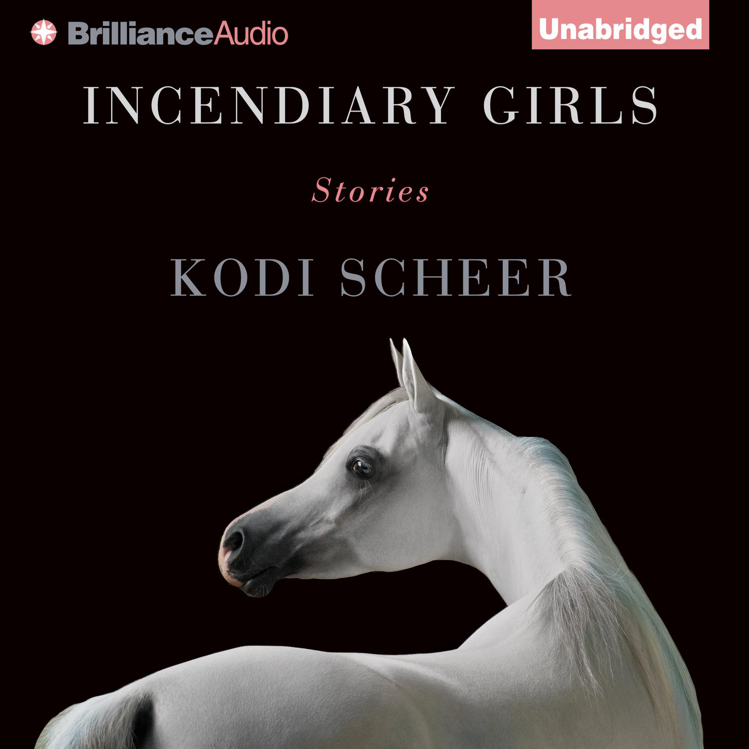 Incendiary Girls: Stories Audiobook, by Kodi Scheer