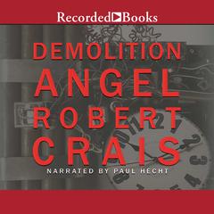 Demolition Angel Audiobook, by 