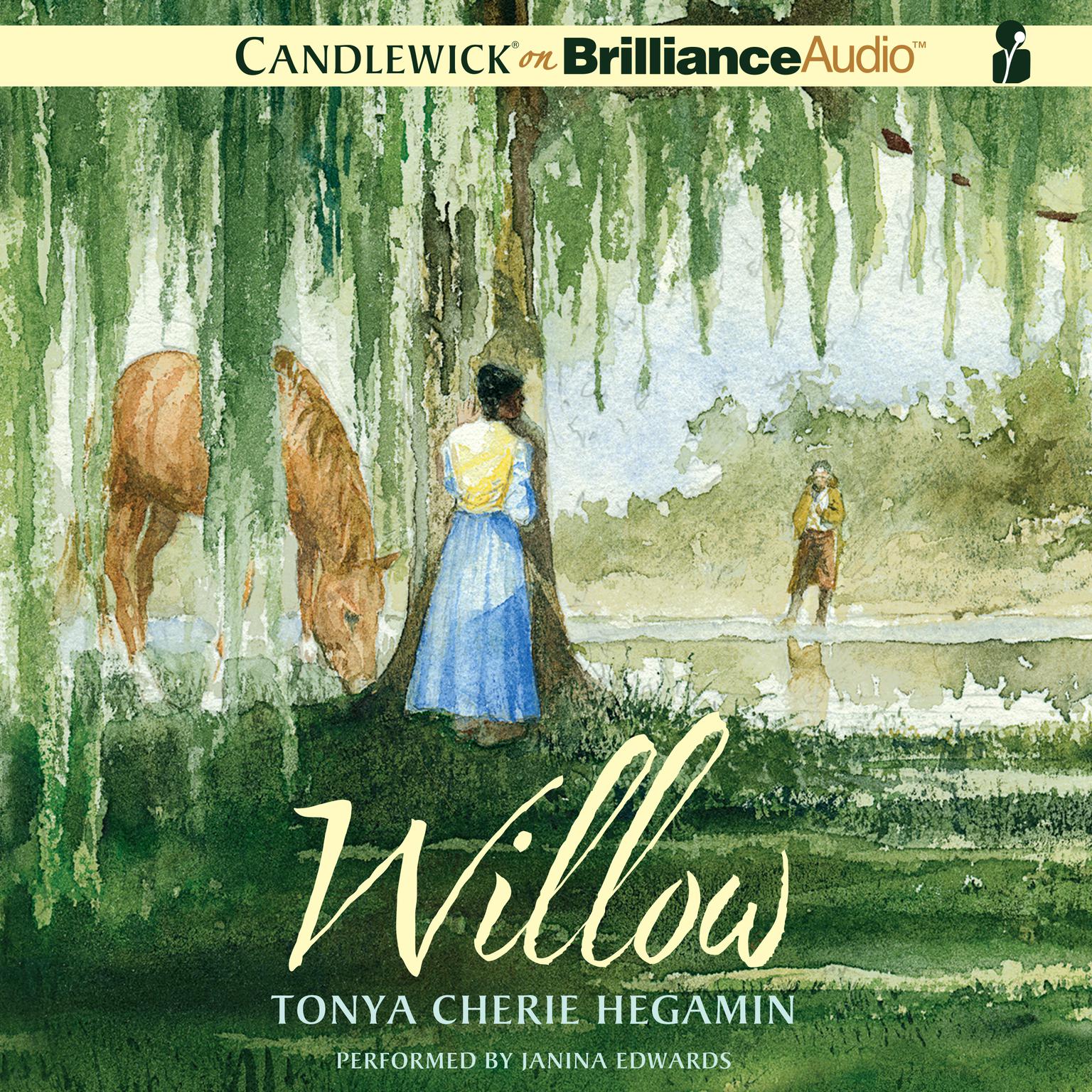 Willow Audiobook, by Tonya Cherie Hegamin