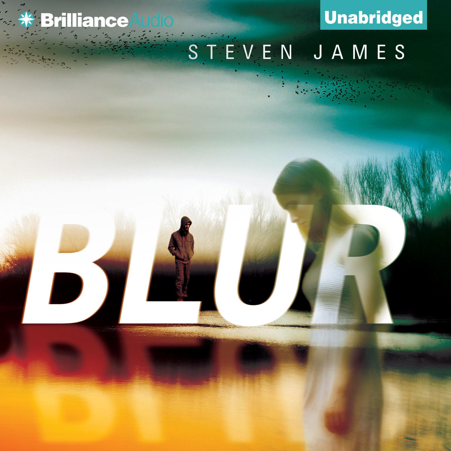 Blur Audiobook, by Steven James