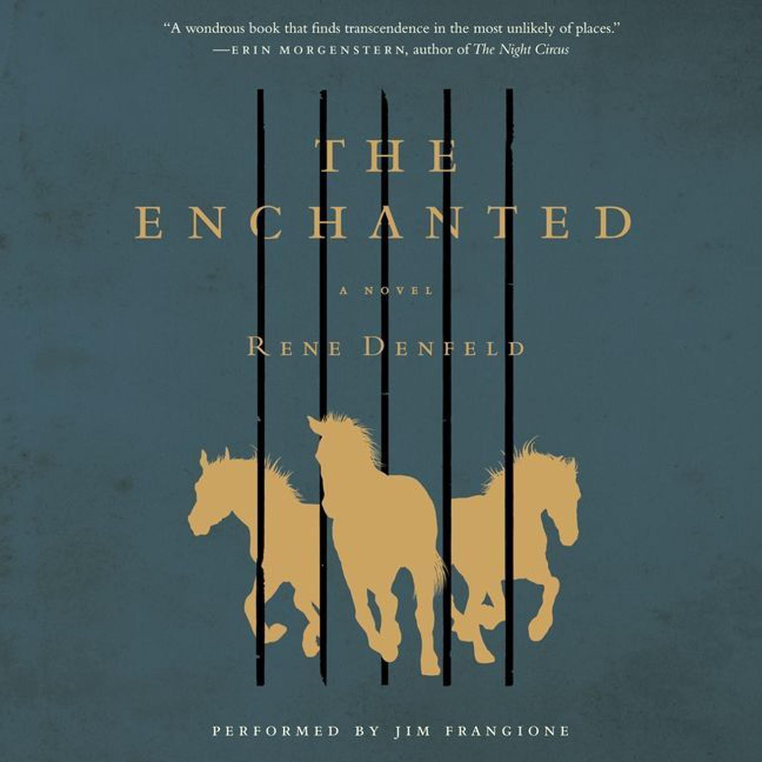 The Enchanted: A Novel Audiobook, by Rene Denfeld