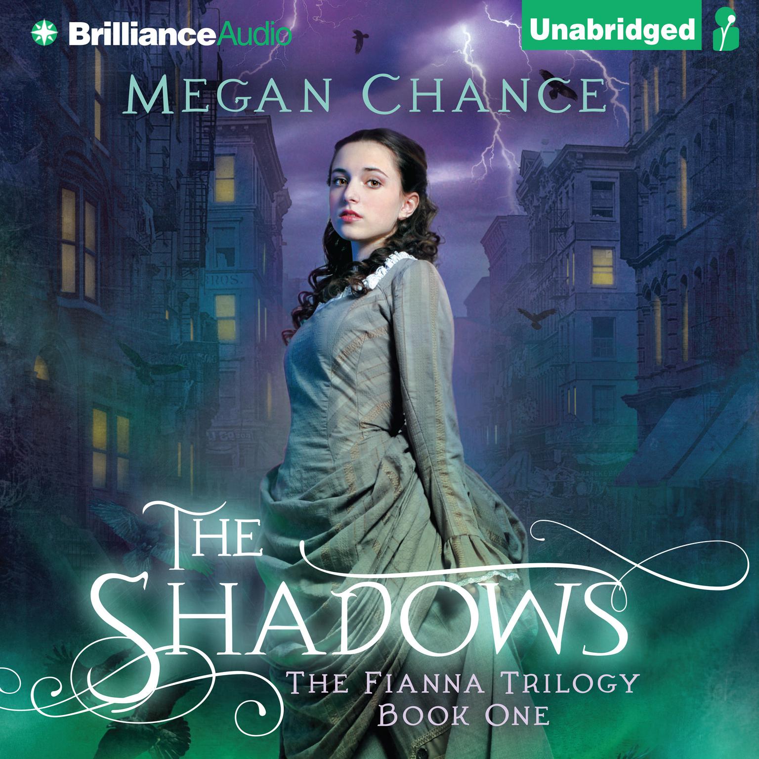 The Shadows Audiobook, by Megan Chance