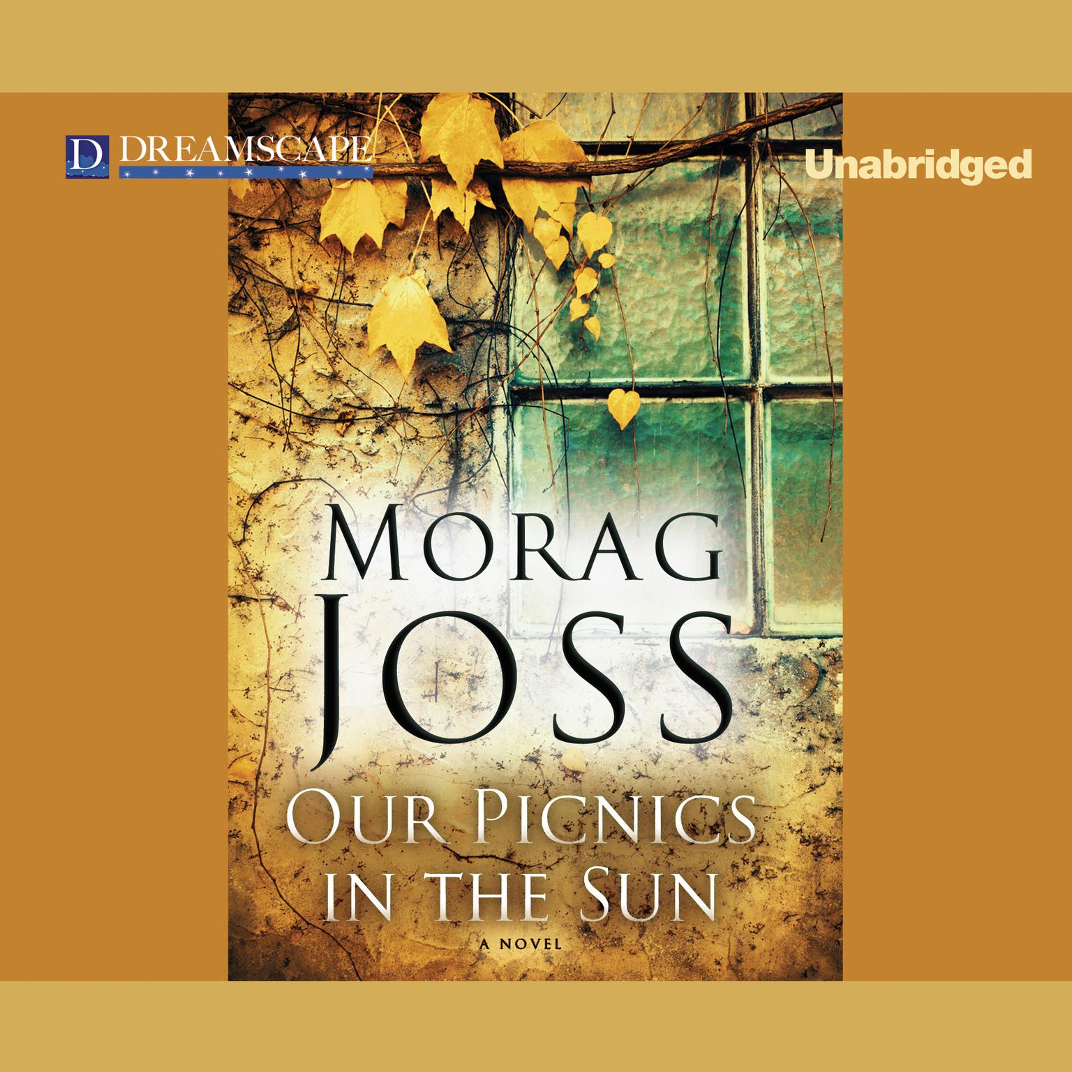 Our Picnics in the Sun: A Novel Audiobook, by Morag Joss