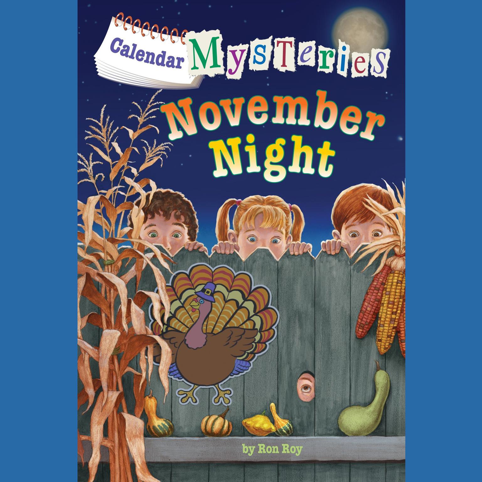 Calendar Mysteries #11: November Night Audiobook, by Ron Roy