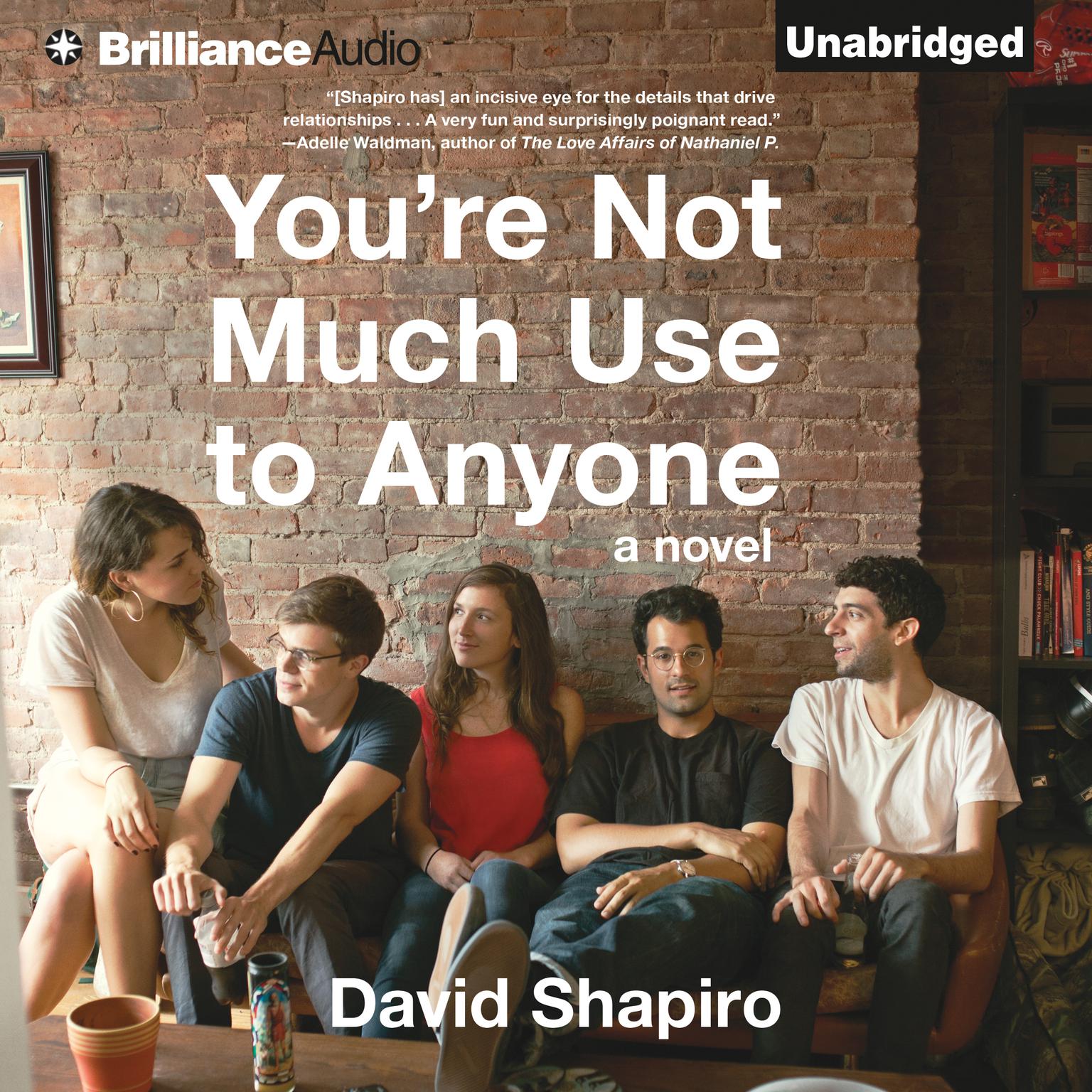 Youre Not Much Use to Anyone: A Novel Audiobook, by David Shapiro