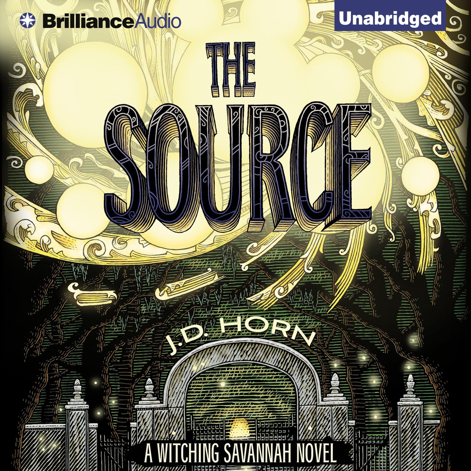 The Source Audiobook, by J. D. Horn