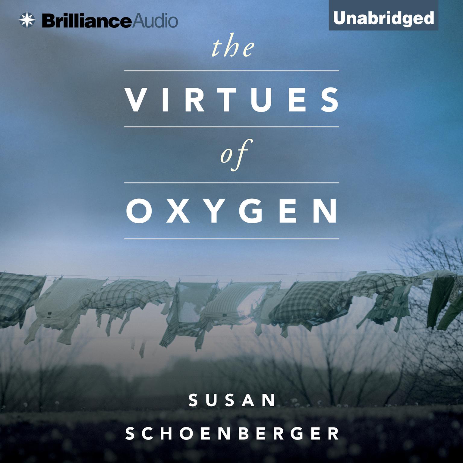 The Virtues of Oxygen Audiobook, by Susan Schoenberger