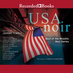 USA Noir: Best of the Akashic Noir Series Audiobook, by various authors