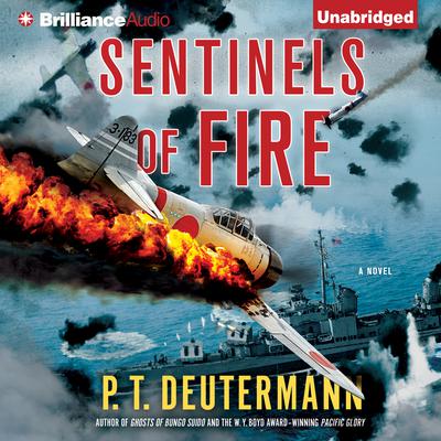 Sentinels of Fire Audiobook, by P. T. Deutermann