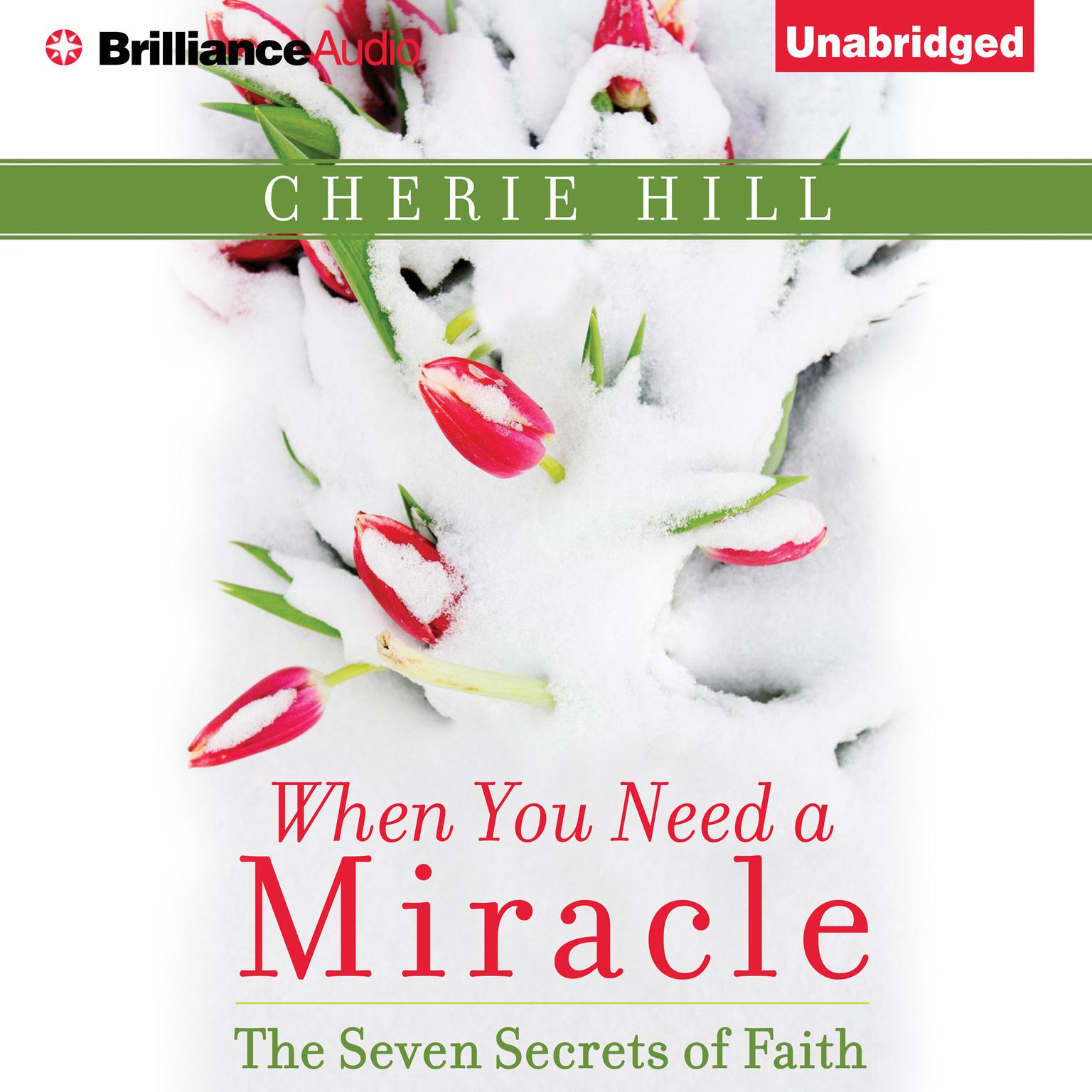 When You Need a Miracle: The Seven Secrets of Faith Audiobook, by Cherie Hill